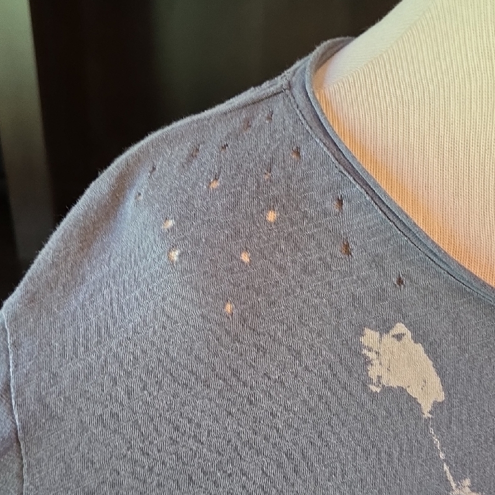 Magnolia Pearl Sitting Bull Charcoal Graphic Tee - Picture 6 of 8